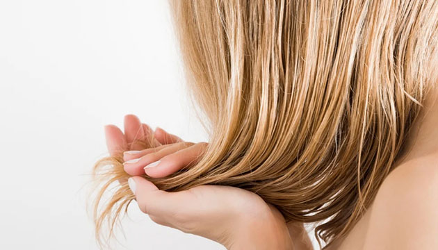 What Causes Oily Hair? Reasons Behind Excess Sebum and Effective Solutions